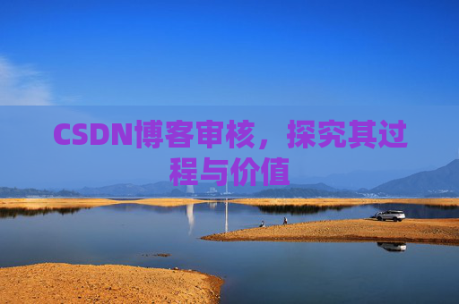 CSDN博客审核,探究其过程与价值